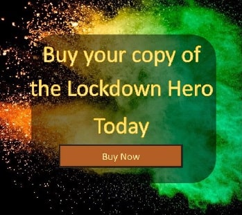 buy The Lock Down Hero book
